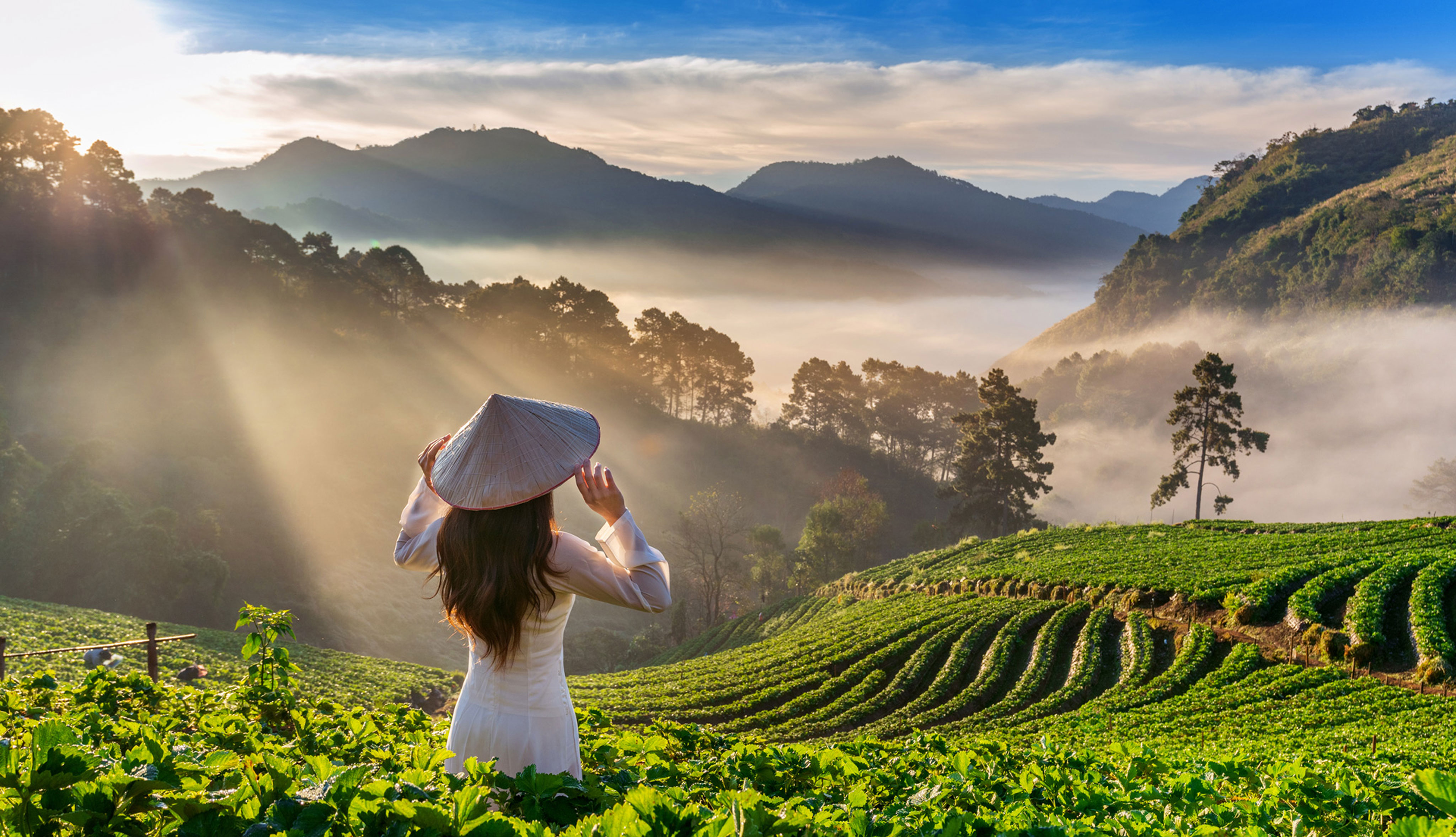 Dental care in Kerala